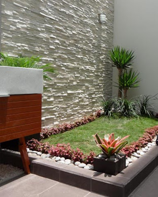 Plantas de jardin