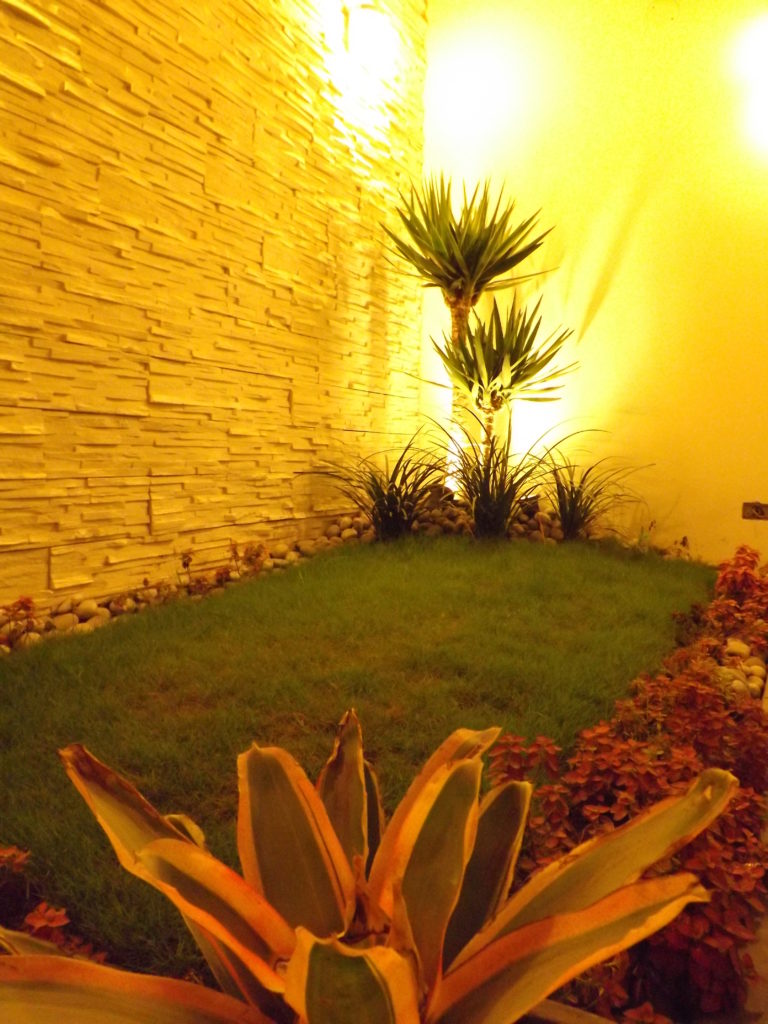 Plantas con luces