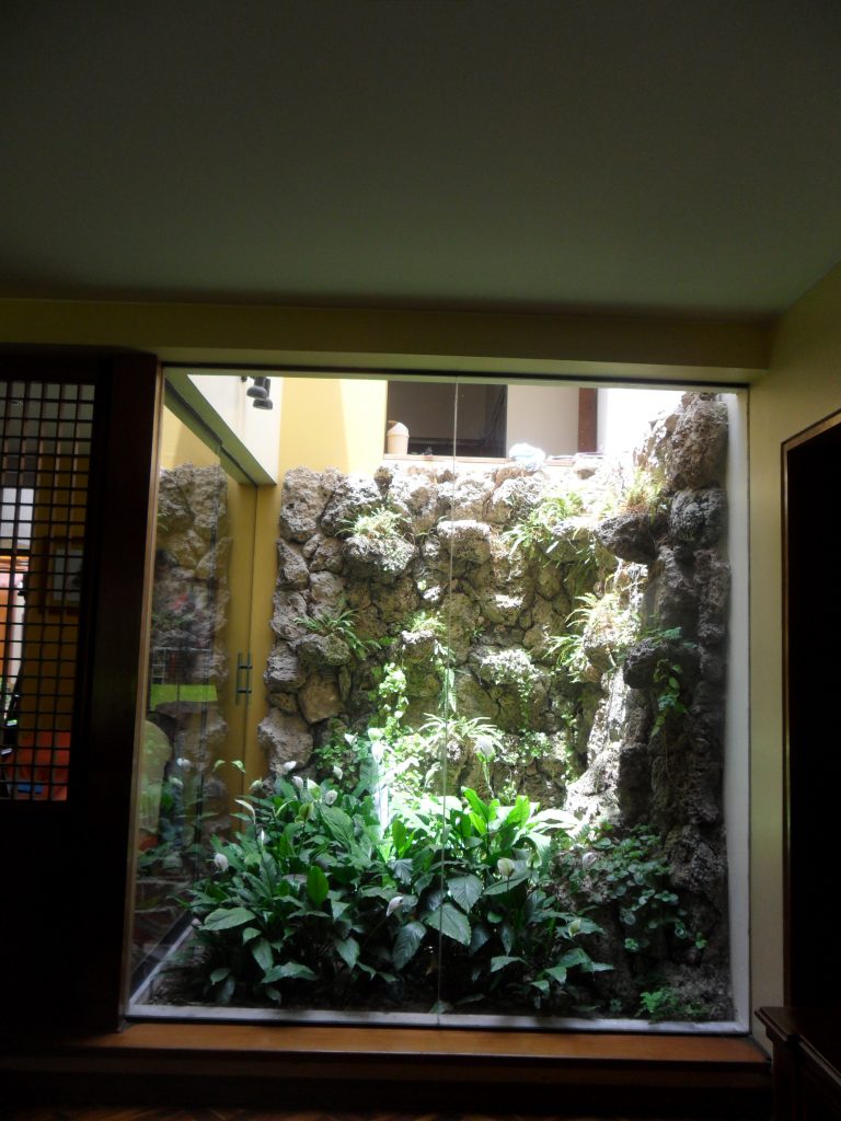 Jardín interior 